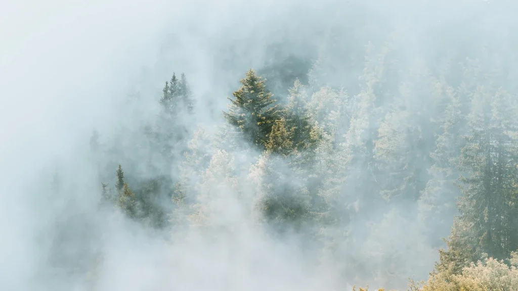 Kako Podržati Zdravlje Vašeg Psa: Upute, Uvid i Inspiracija