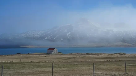 Alati za prevenciju ozljeda i podršku dugotrajnoj pokretljivosti pasa